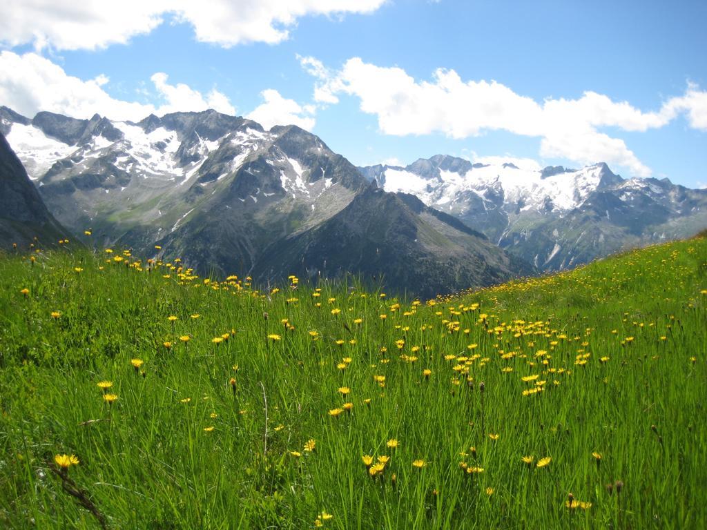 Haus Schlechter Mayrhofen