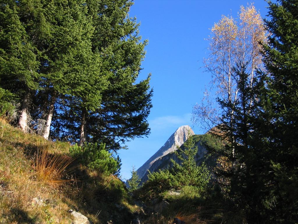 Apartmán Haus Schlechter Mayrhofen