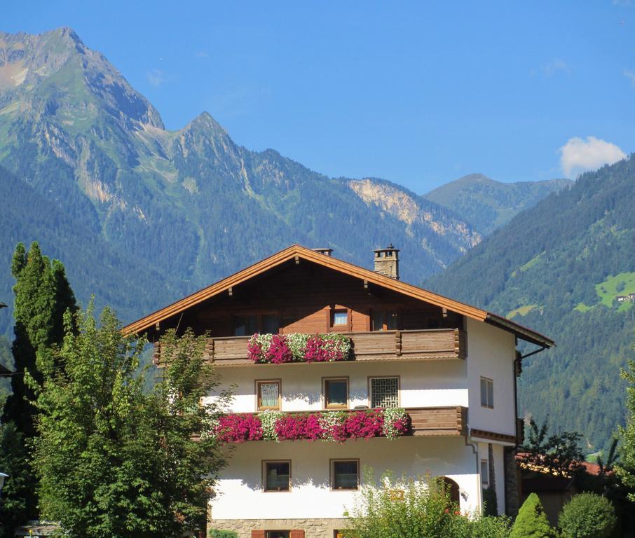 Haus Schlechter *